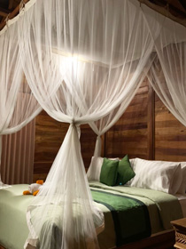 reikiリトリート体験画像