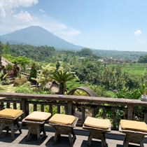 reikiツアー画像